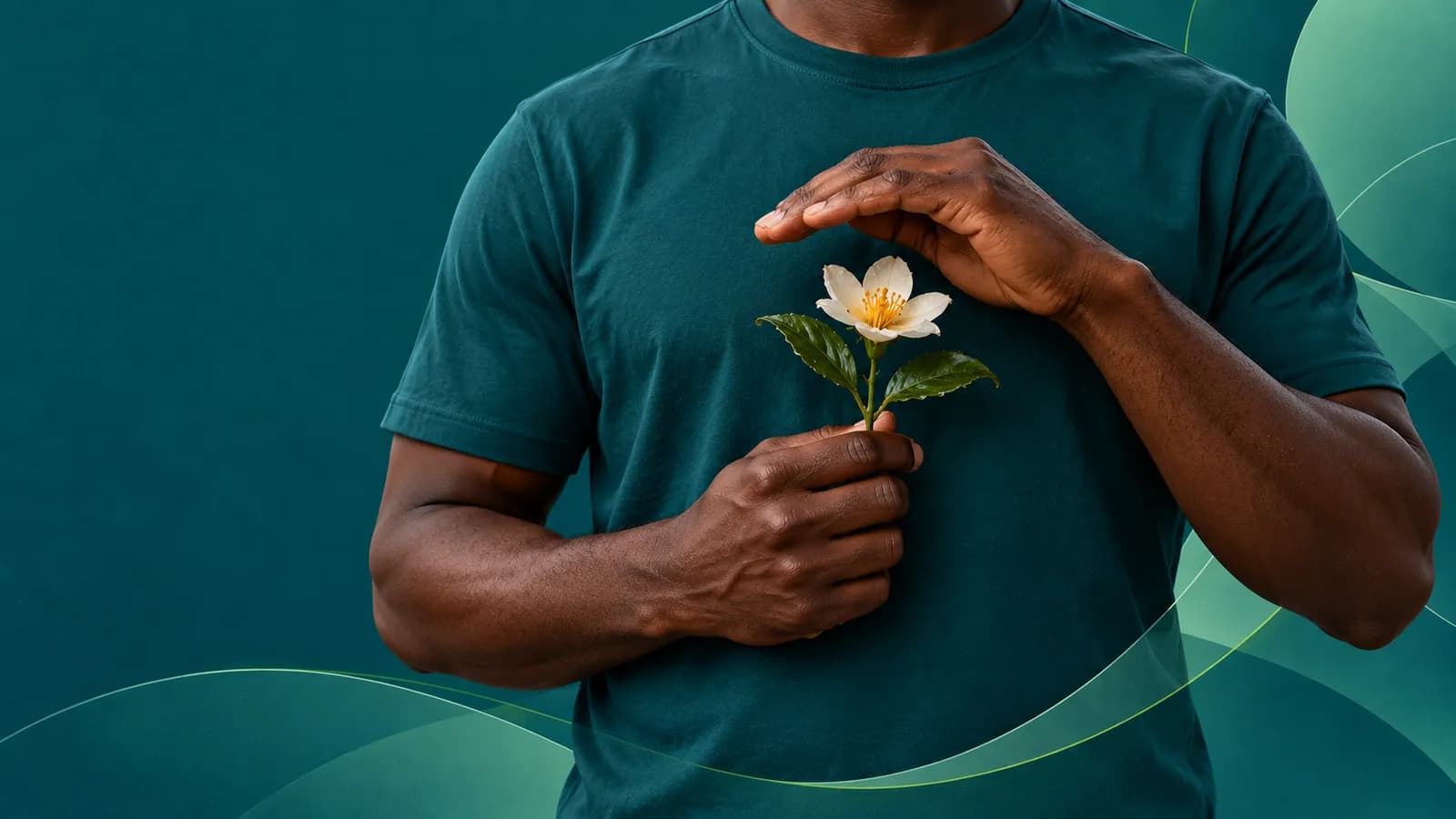 A man's hands gently sheltering a small white flower